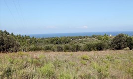 Land 22500 m² in Kassandra, Chalkidiki