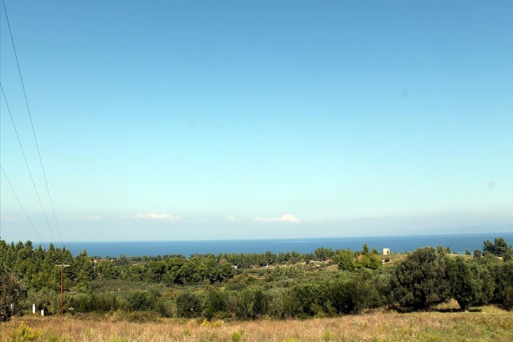 Realty photo 2