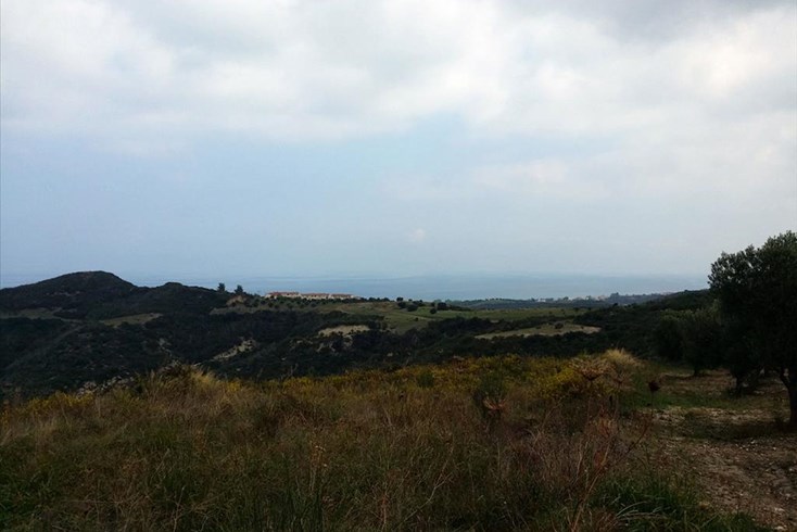 Realty photo 2