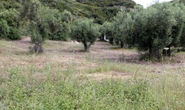 Land 9000 m² auf Athos (Chalkidiki)