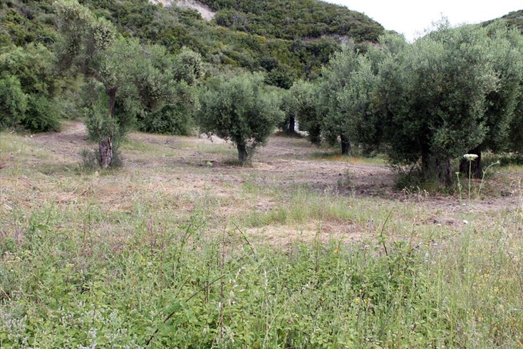 Realty photo 1