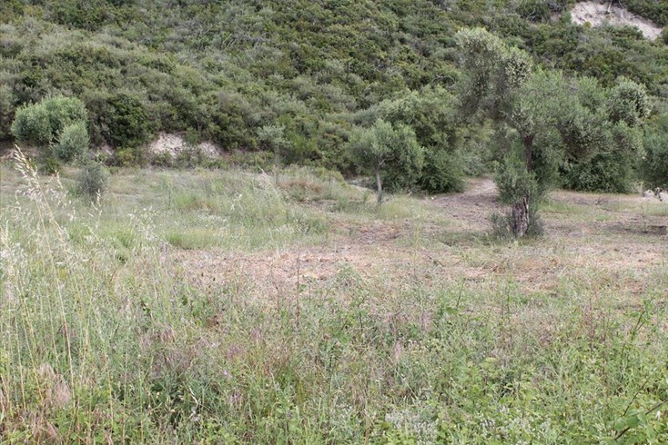 Realty photo 2