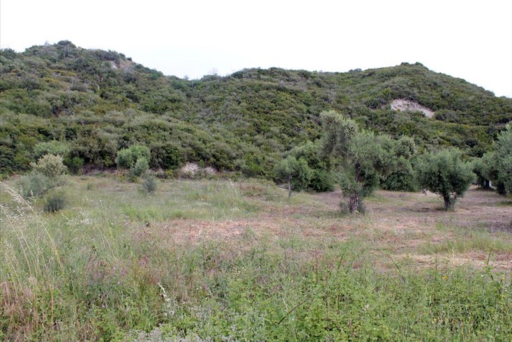 Realty photo 3
