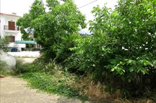 Property 7025 photo 11