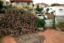 Property 7025 photo 7