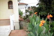 Property 7025 photo 15