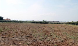 Парцел 800 m² в Ситония (Халкидики)