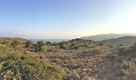 Land 12800 m² in Crete