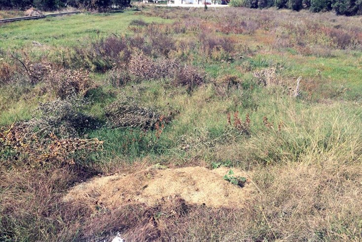 Realty photo 2