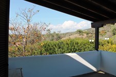 Property 7121 photo 19