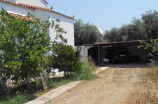 Property 716 photo 2