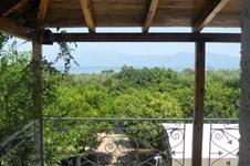 Property 716 photo 3