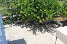 Property 716 photo 7