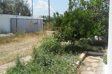 Property 716 photo 17