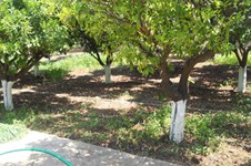 Property 716 photo 19