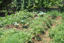 Property 716 photo 21