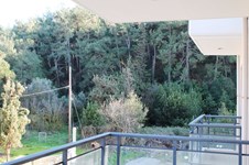 Property 7163 photo 12