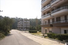 Property 7167 photo 3