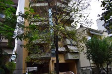 Property 7180 photo 26
