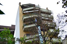 Property 7180 photo 27