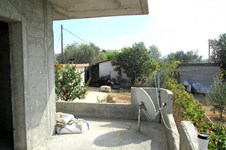 Property 7187 photo 13