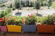 Property 721 photo 14