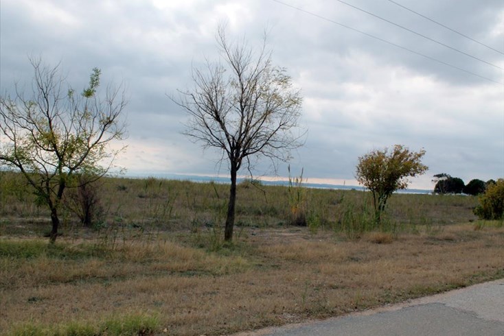 Realty photo 2
