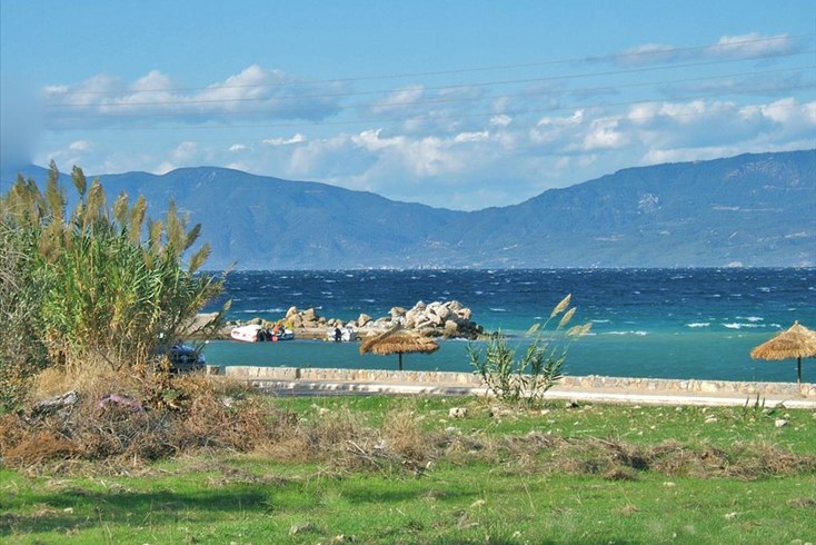 Realty photo 2