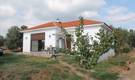 კუნძული 97 m² სიტონიაზე ( ქალკიდიკი)