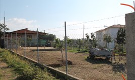 Terrain 330 m² à Sithonia (Chalcidique)
