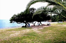Property 73 photo 7