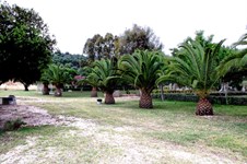 Property 73 photo 9