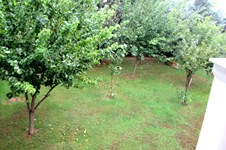 Property 7376 photo 8