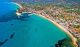 Land 8110 m² in Western Peloponnese