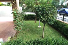 Property 7389 photo 3