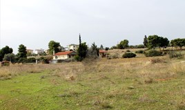 სასტუმრო 10000 m² ევბეა