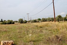Property 7413 photo 2