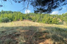 Property 7426 photo 2