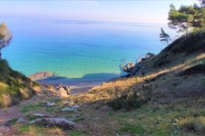 Property 7426 photo 3