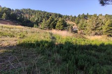 Property 7426 photo 4