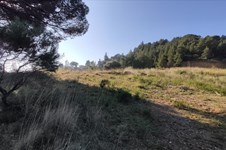 Property 7426 photo 5