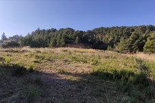 Property 7426 photo 6