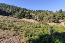 Property 7426 photo 8