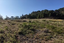 Property 7426 photo 9