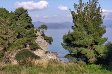 Property 7426 photo 10