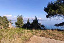 Property 7426 photo 11