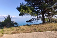 Property 7426 photo 12