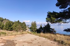 Property 7426 photo 14