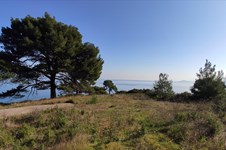 Property 7426 photo 15