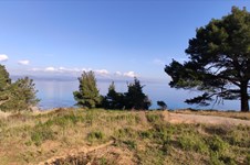 Property 7426 photo 16